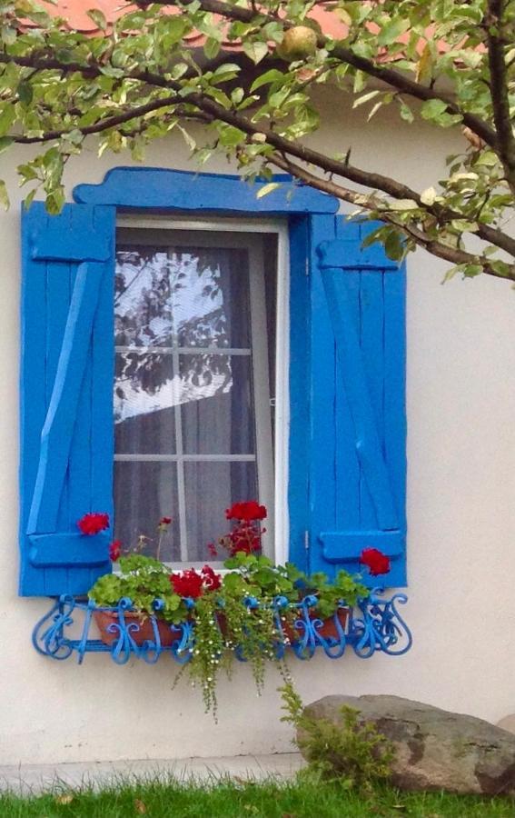 Flower Street Sviteaz Exterior foto